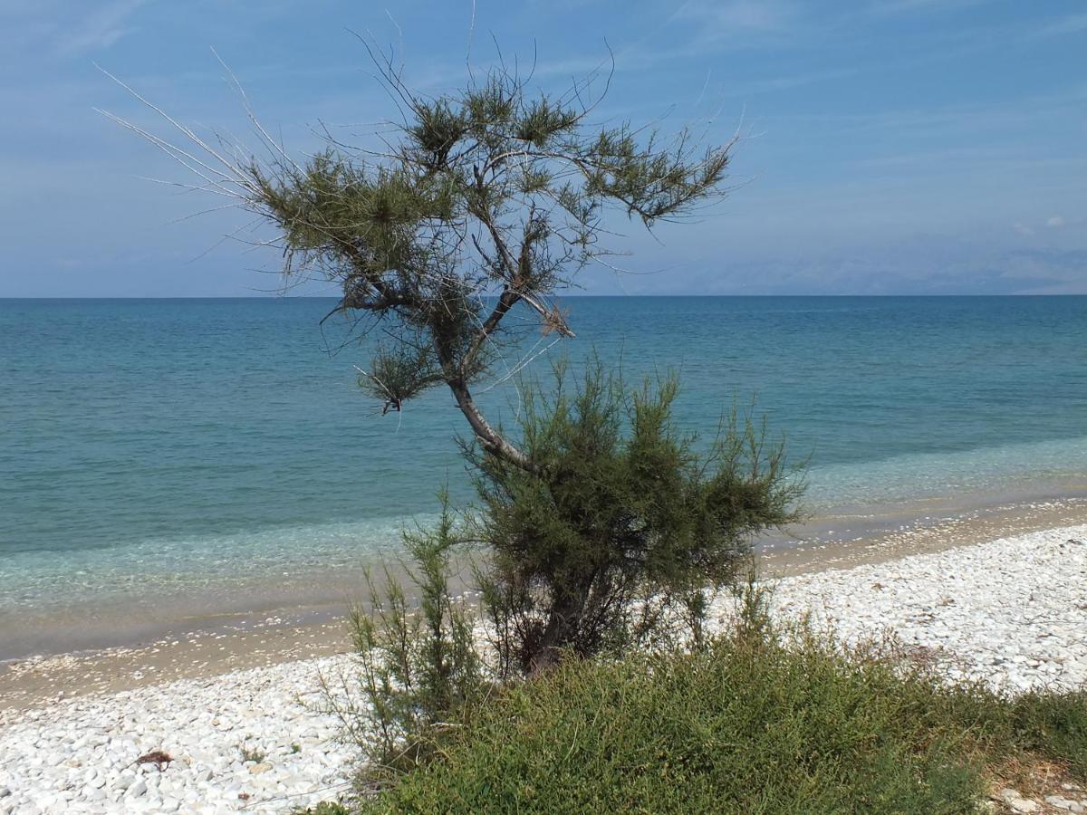 Frosos Beachfront Maisonette Acharavi Αχαράβη Εξωτερικό φωτογραφία